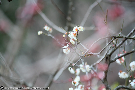 190225dg_4.jpg