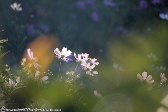 211005dg_3.jpg